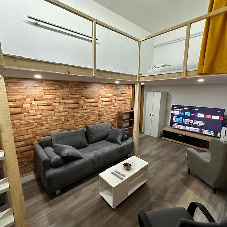 Gaming Apartman Vracar Apartment เบลเกรด ภายนอก รูปภาพ